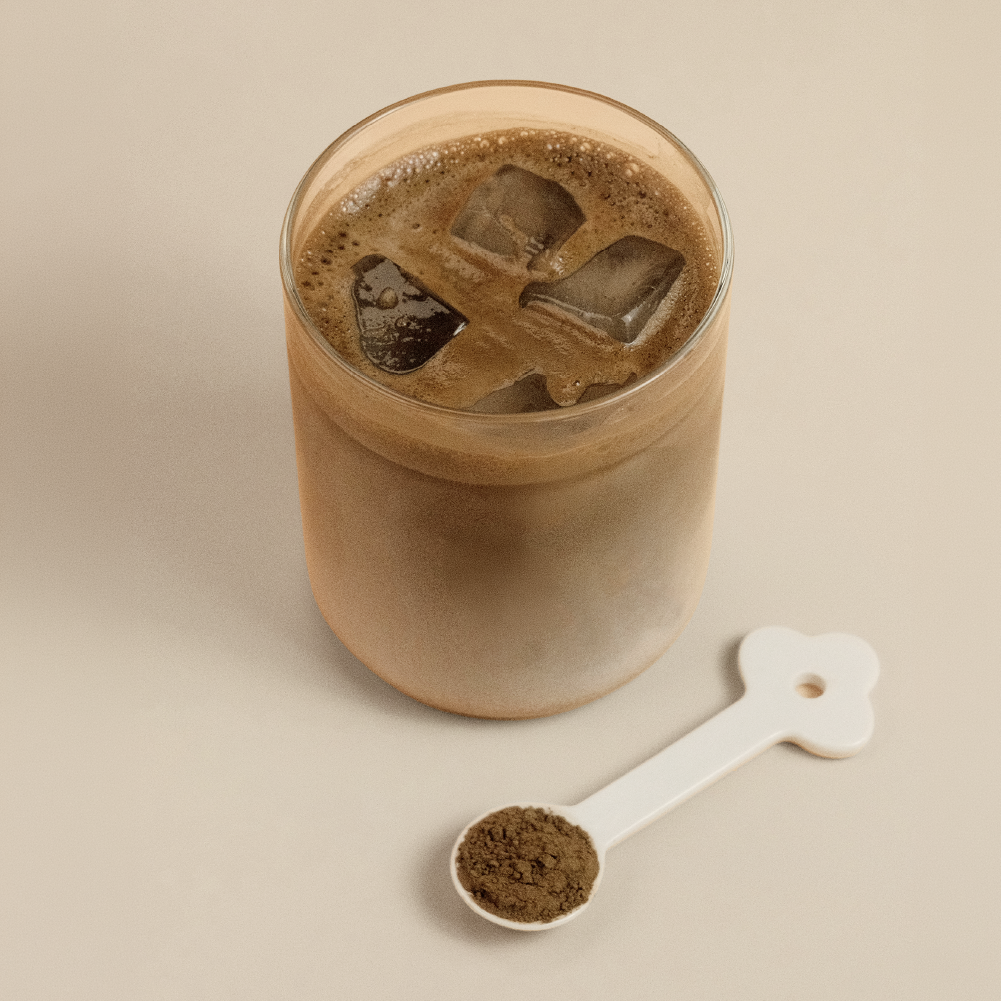 Roasted Hojicha 40g - Té Verde Tostado